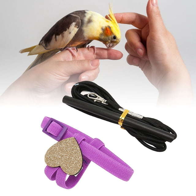 Bird Harness And Leash, Adjustable Bird Harness And Leash Anti Bite Pet Bird Outdoor Training And Playing For Parrots Bird Nylon Rope Bird Harness And Leash Kit Outdoor