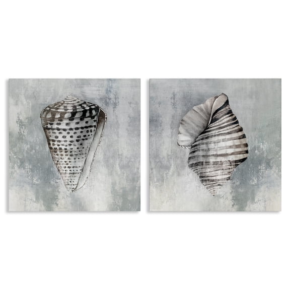 Stupell Industries Grey Distressed Cowrie Shells Nautical & Beach Painting Wrapped Canvas Art Print Wall Art, 17 x 17, Set of 2