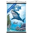 thumbnail image 3 of Shark Week - Shark Adventure Wall Poster with Magnetic Frame, 22.375" x 34", 3 of 5