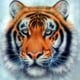 thumbnail image 1 of Wdftyju Kits de pintura de diamante 5D DIY Imagen de pared de tigre de taladro redondo completo (V2215) Wdftyju 7gq3bg3gk9ch9am6D02, 1 of 9