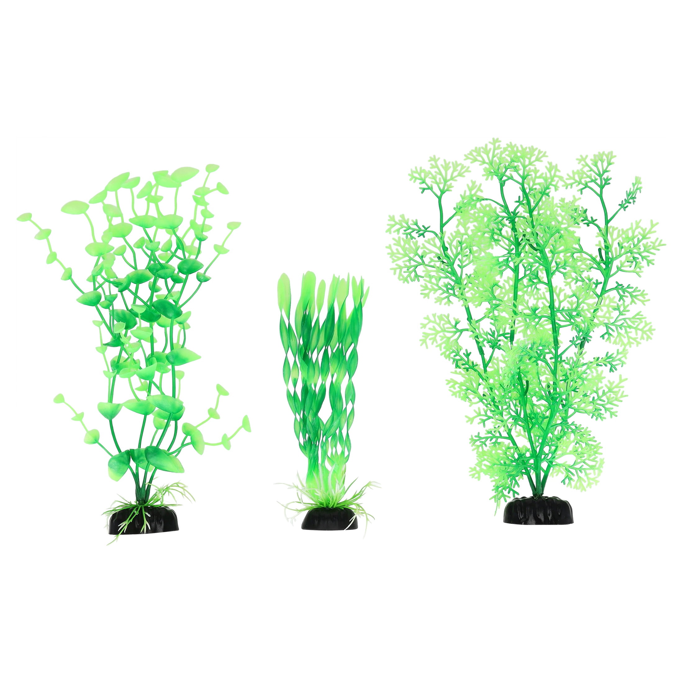 Vibrant Life Medium Plant Set, Green, 3 Pieces