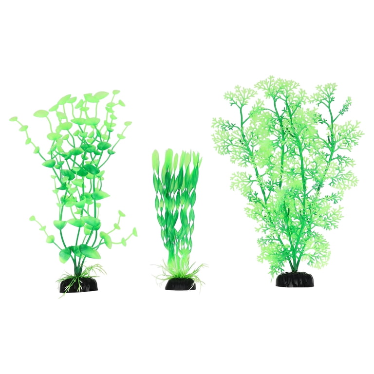 Vibrant Life Medium Plant Set, Green, 3 Pieces photo 3