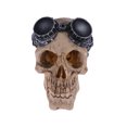 thumbnail image 1 of Pilot Skull Shape Fish Tank Decor Skeleton Design Fish Tank Landscape Ornament Climbing Pet Aquarium Turtle Tank Shelter, 1 of 9