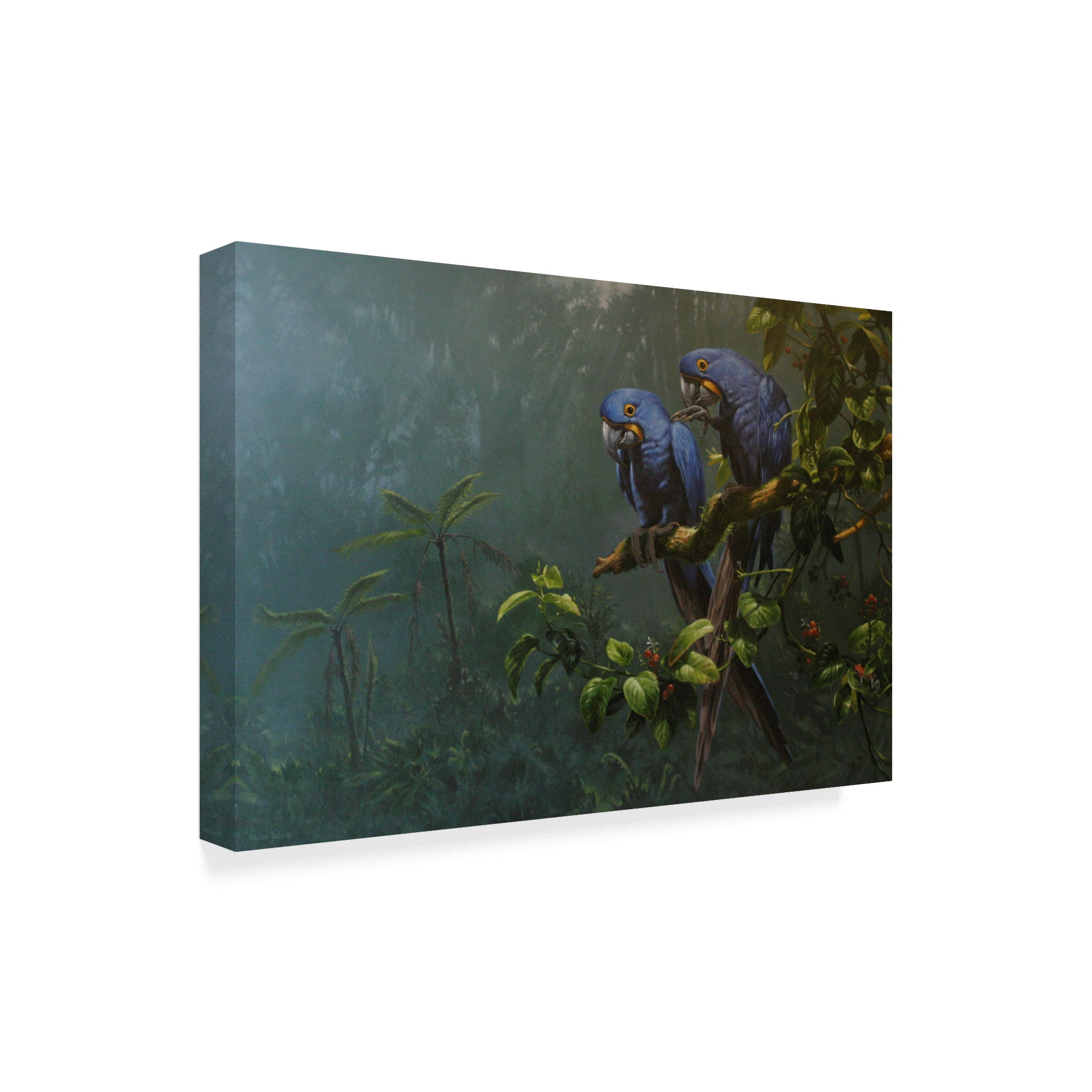 Trademark Fine Art 'Blue Macaws' Canvas Art by Michael Jackson