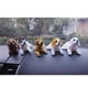 thumbnail image 2 of Figura de cabeza móvil de coche Figura de perro de cabeza móvil de coche para decoración de coche (perro manchado) Sincero Electrónica, 2 of 4