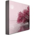 thumbnail image 2 of Trademark Art "Full Moon on the Lake" Canvas Art by Philippe Sainte-Laudy, 2 of 5