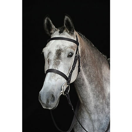 Cavesson Bridle - Collegiate Hunt Cavesson Bridle Warmblood Brown