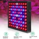 thumbnail image 5 of Lámpara de cultivo de panel de espectro completo con luz de crecimiento LED para planta de flores de interior, vegetal, enchufe de EE. UU., Cuentas de 80W-169 Scienceny HA003513-02, 5 of 6