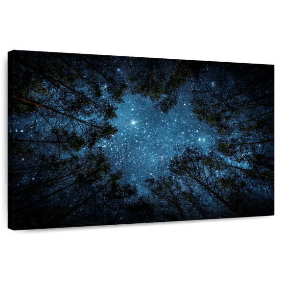 Elephant Stock Forest At Night Wall Art - Horizontal Canvas Wall Art - Living Room Wall Decor - Astronomy & Space Canvas - Black And Green Decor - 12" x 8"