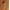 Trailblazer Brown, variant on Time and Tru Women's Eyelet Embroidered Mini Dress, Sizes XS-XXXL