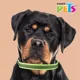 thumbnail image 4 of Correa Para Perro Ultra Grip Bandas Reflejantes Gde Colores, 4 of 4