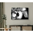 thumbnail image 2 of HFDF Canvas Prt Wall Art Calla Lily Flower Bouquet Floral Plants Photography Modern Art Rustic Closeup Dramatic Duotone Dark Black and White for Livg Room, Bedroom, Office - Black 16x12inch Framed, 2 of 5