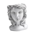 thumbnail image 4 of Goddess Head Planter Tête de Dieu Résine Visage Humain Décoration Maison Tête de Planteur Gris, 4 of 9