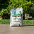 thumbnail image 5 of Jonathan Green & Sons 11353 Mag-I-Cal Natural Food for Lawns in Acidic Soils, 5,000 sq ft, One Bag 2, 5 of 6