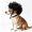 Black, variant on Funny Cat and Dog Wigs, Soft Pet Costume with Adjustable Straps, for Halloween Christmas Party Dress-Up, Ideal Gift for Pet Lovers