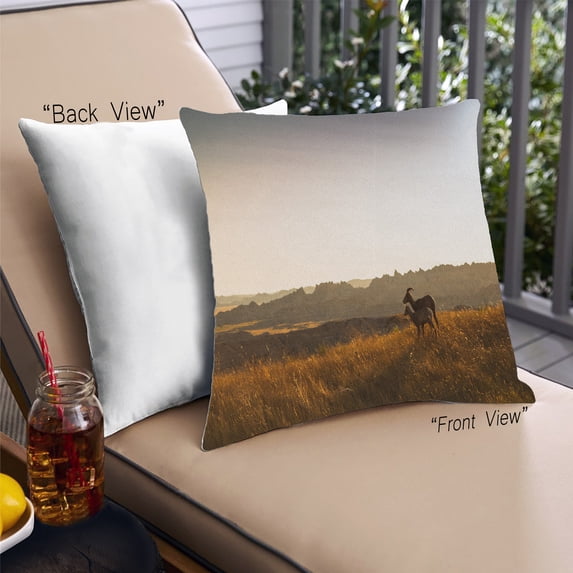 Ahgly Company State South Dakota Outdoor Throw Pillow, 18 inch by 18 inch