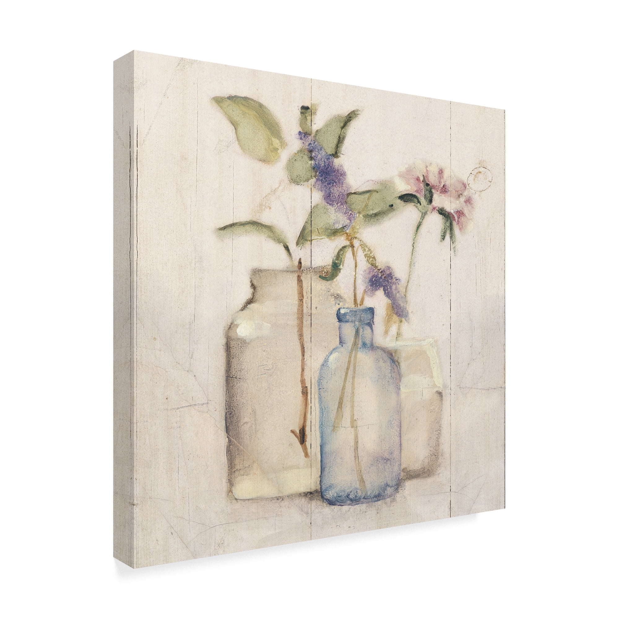 Trademark Fine Art 'Blossoms on Birch I' Canvas Art by Cheri Blum