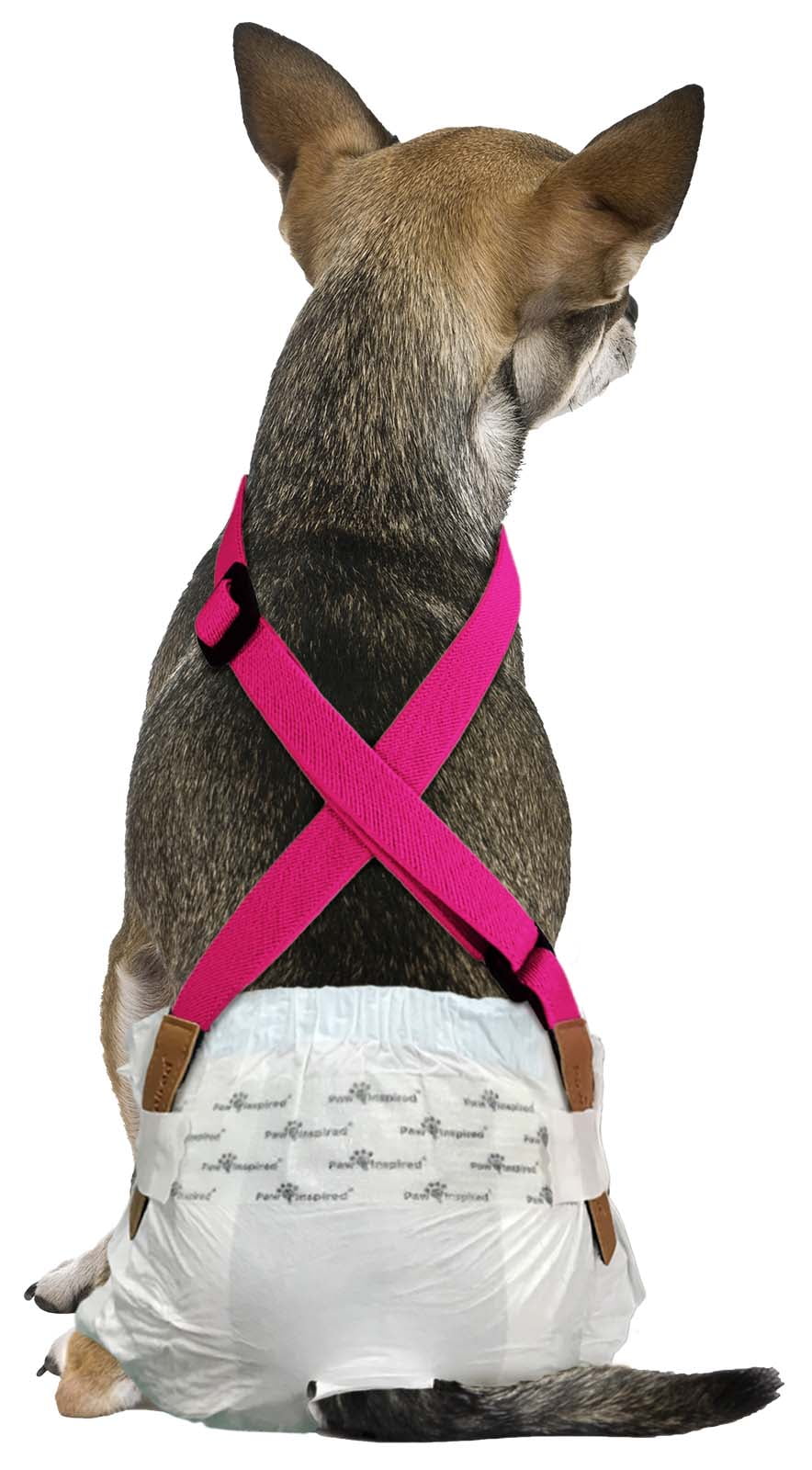 Paw Inspired Dog Diaper Suspenders Keep Male Dog Wraps and Female Dog