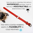 thumbnail image 4 of Regal Dog Products Waterproof Collar Heavy Duty Center Ring with D ring, 4 of 9
