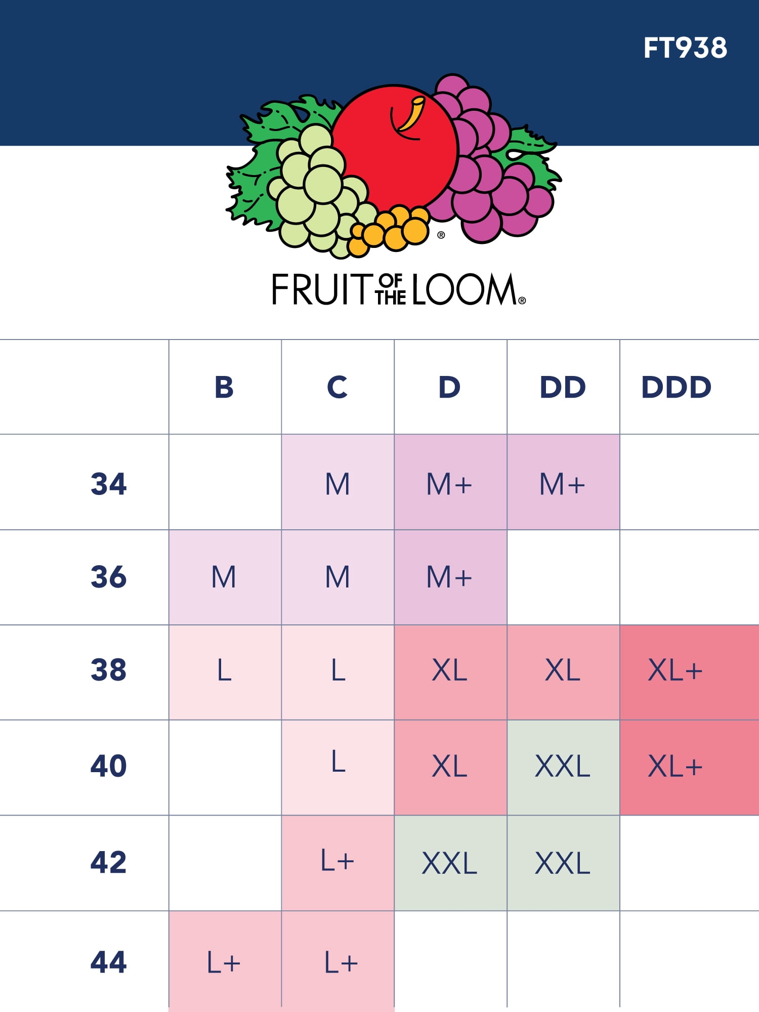 Fruit of the Loom T-Shirt Bra 2 Pack, Style FT938, Sizes M to XXL