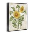 thumbnail image 2 of Stupell Industries Cottage Floral Journal Vintage Sunflower Black Framed Giclee Art, 11 x 14, by Paul Brent, 2 of 8