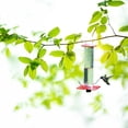thumbnail image 4 of Alimentador De Colibrí De Tubo, Alimentador De Pájaros Salvajes Colgantes Para Decoración De Árboles De Patio Al Aire Libre Yuarrent PT002170-00, 4 of 6