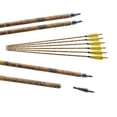 thumbnail image 3 of AME 6/12pcs 30'' Archery Carbon Arrows Spine 500 Turkey Feathers Target Hunting, 3 of 8