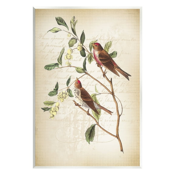 Stupell Industries Birds with Vintage Cursive Animals & Insects Painting Unframed Art Print Wall Art, 10 x 15