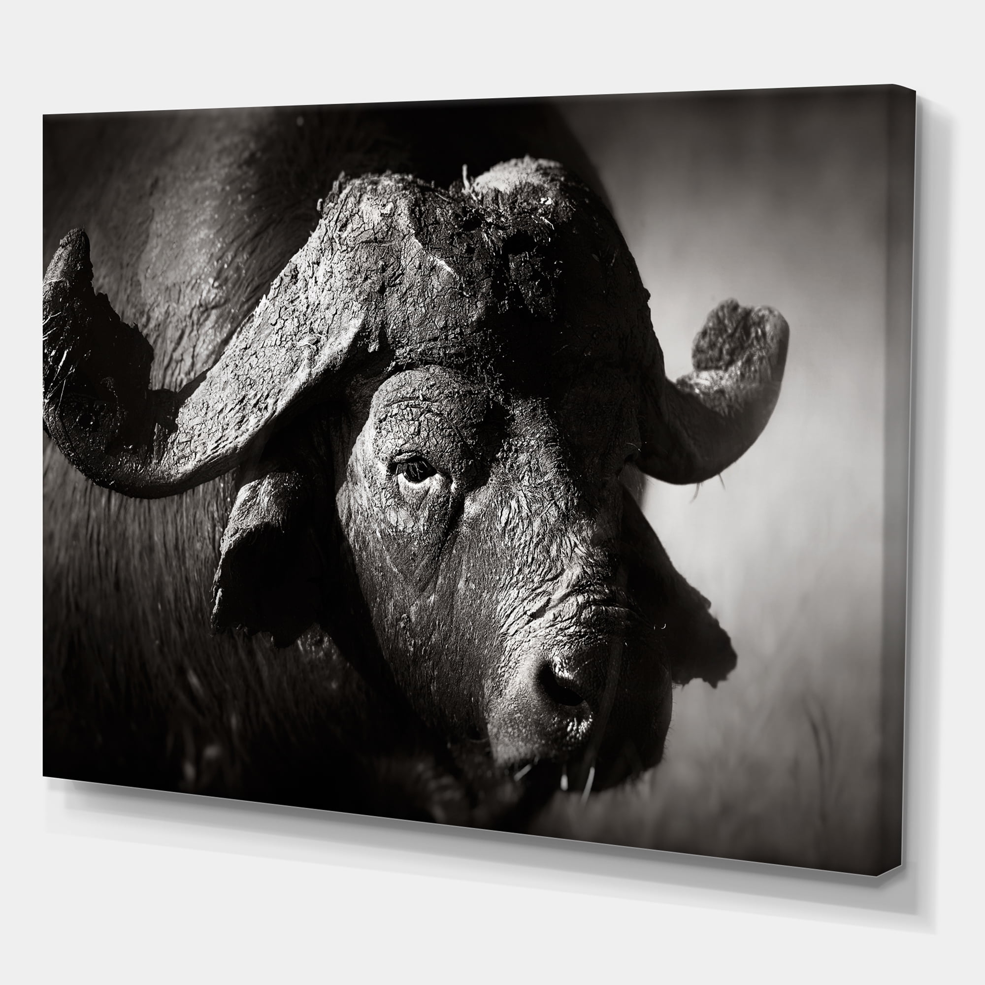Designart ' Black and White Portrait Of Buffalo II ' Farmhouse Canvas Wall Art Print