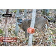 Realtree Himalayan Salt Lick Block Deer Attractant with Rope for Hanging, 4.4 lb Natural Pink Color