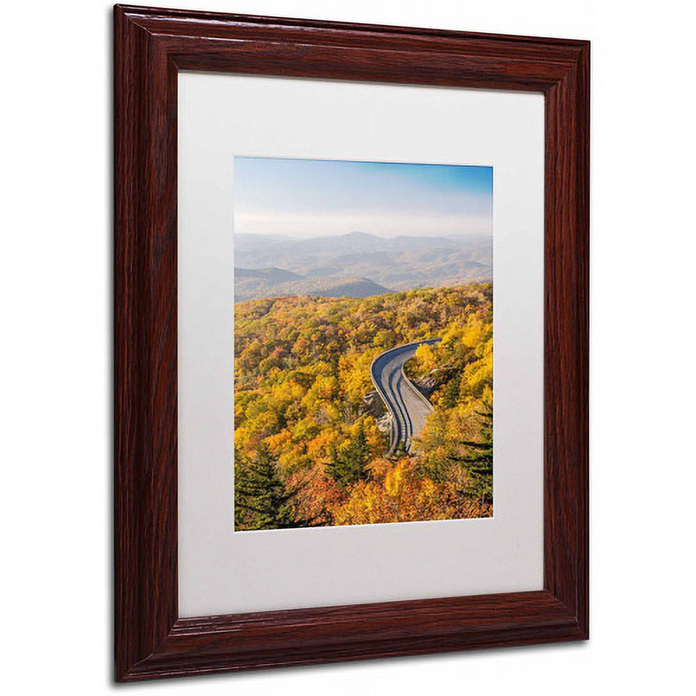 Trademark Fine Art "Blue Ridge Parkway" Canvas Art by Pierre Leclerc, White Matte/Wood Frame