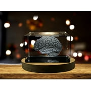 Brain Art  | 3D Engraved Crystal Keepsake | Gift/Decor | Collectible | Souvenir  | Personalized 3d Crystal Photo Gift | Customized 3d Photo Engraved Crystal