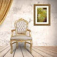 thumbnail image 3 of Jaynes Gallery 17x24 Gold Ornate Wood Framed with Double Matting Museum Art Print Titled - USA-Colorado-Fort Collins Clematis plant close-up, 3 of 4
