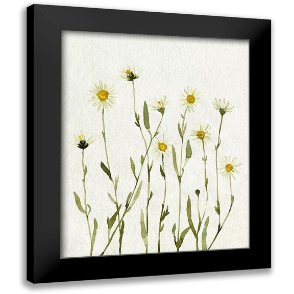 Caroline, Emma 12x14 Black Modern Framed Museum Art Print Titled - White Antique Daisies II