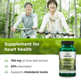 thumbnail image 3 of Swanson Olive Leaf Extract Capsules with 20% Oleuropein - (60 Capsules, 750mg Each), 3 of 5