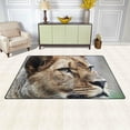 thumbnail image 3 of GZHJMY Lioness Area Rug Rugs Non-Slip Floor Mat Doormats Living Room Bedroom 60 x 39 inches, 3 of 5