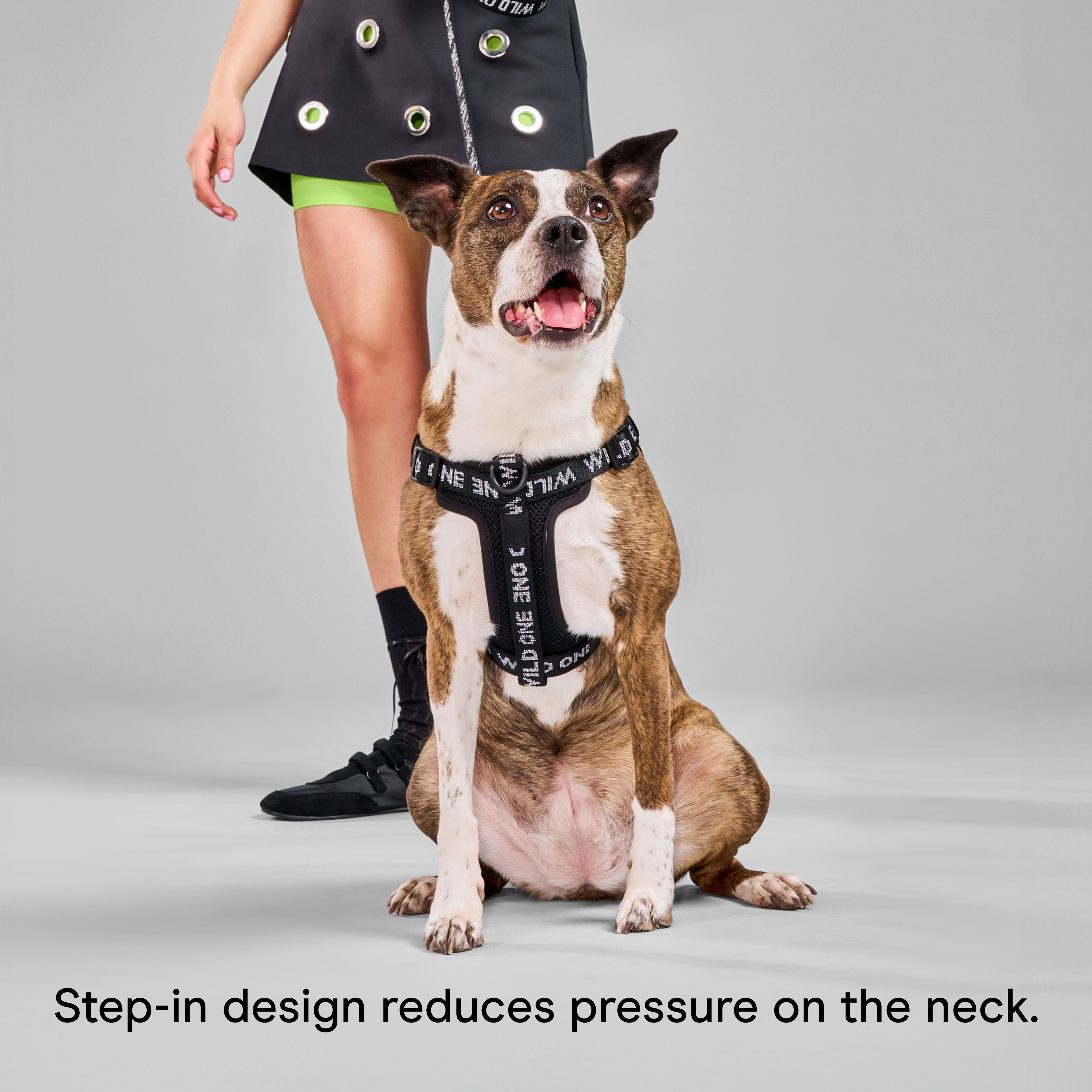 Wild One Adjustable Cushioned Step-In Dog Harness, Black Reflective, Small