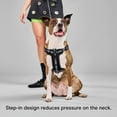 thumbnail image 2 of Wild One Adjustable Cushioned Step-In Dog Harness, Black Reflective, Medium, 2 of 10