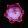 thumbnail image 3 of Lámpara de Buda con forma de loto de colores Luz de noche de nenúfar Linternas de flores (rojas), 3 of 5