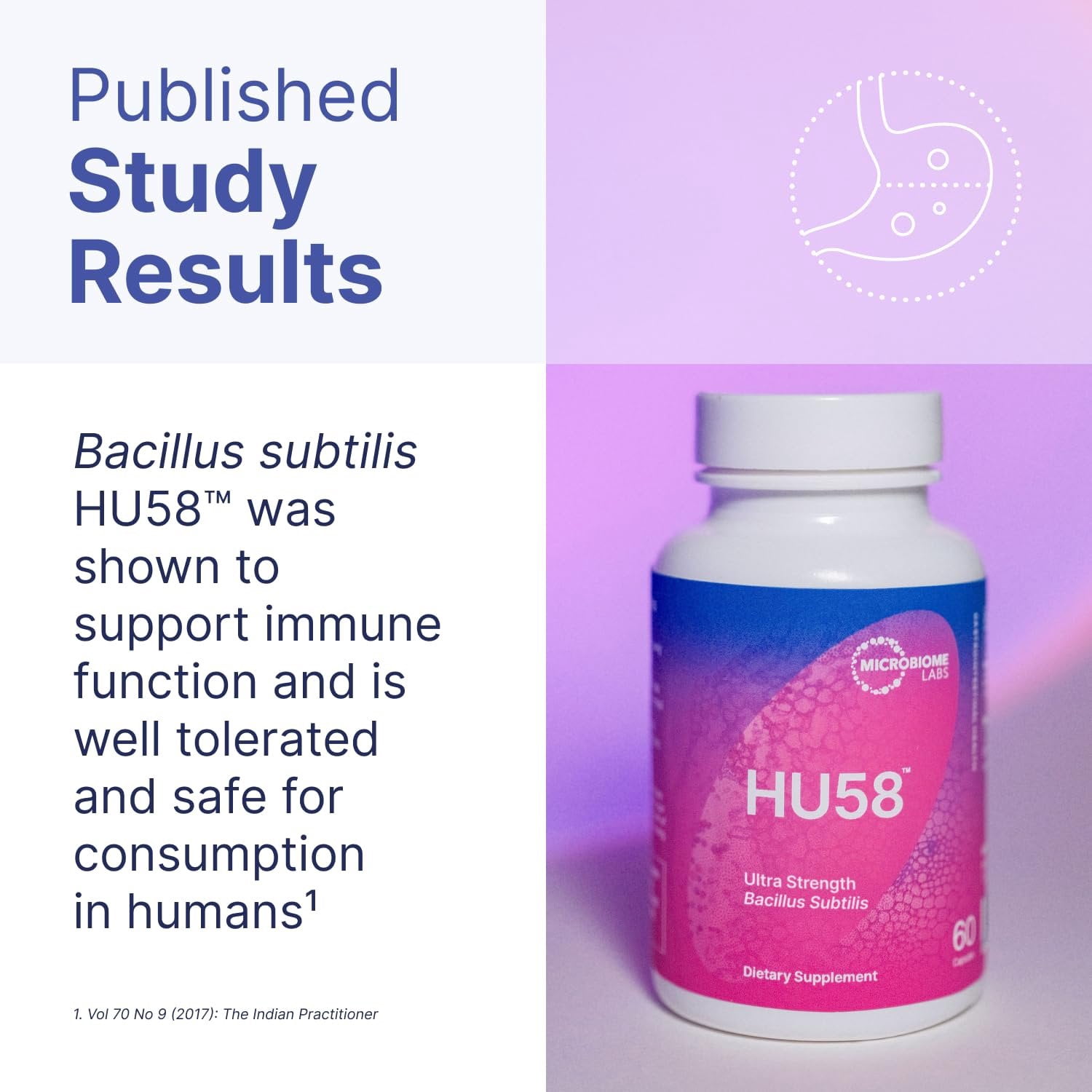 Microbiome Labs HU58 Bacillus Subtilis Probiotics for Women and Men - High Potency Spore Probiotic for Digestive Health & Immune Support - Daily Capsules with 10 Billion CFU 60 Capsules