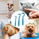 thumbnail image 1 of Peine para pulgas y herramienta para quitar garrapatas para mascotas Cepillo de aseo para perros/gatos Peine para quitar pulgas de acero inoxidable con mango ergonómico, 1 of 5