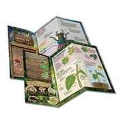 Smart Lab Toys - Outdoor Science Lab