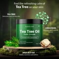 thumbnail image 3 of Crema facial Majestic Pure con aceite de árbol de té, 227 g, hidratante, 3 of 9