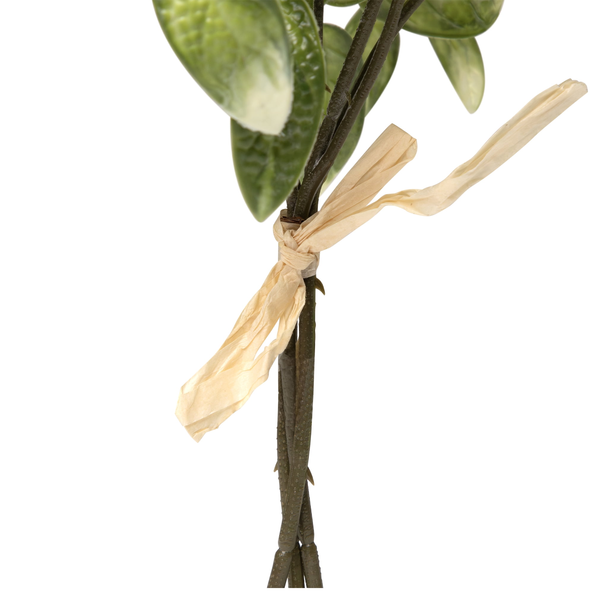 Northlight Satin Pothos Leaf Artificial Bundles - 13" - Green - Set of 6