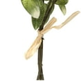 thumbnail image 5 of Northlight Satin Pothos Leaf Artificial Bundles - 13" - Green - Set of 6, 5 of 6