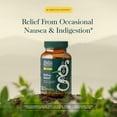 thumbnail image 3 of Gaia Herbs Reflux Relief - Digestive Comfort Support Supplement - Aloe Vera, Marshmallow Root, Chamomile, Licorice - Helps with Occasional Heartburn & Indigestion* - 45 Chewable Tablets (45 Servings), 3 of 9