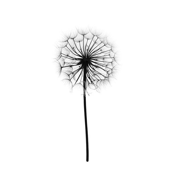 Dandelion, Print Wall Art, Modern Wall Decor For Living Room Bedroom, 8x12 UNFRAMED