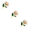 thumbnail image 1 of Bewildely Exquisitas rosas de porcelana chapadas en oro de 24 quilates, rosas chapadas en oro brillantes y resistentes, plantas artificiales, Type1 NO1, 1 of 6