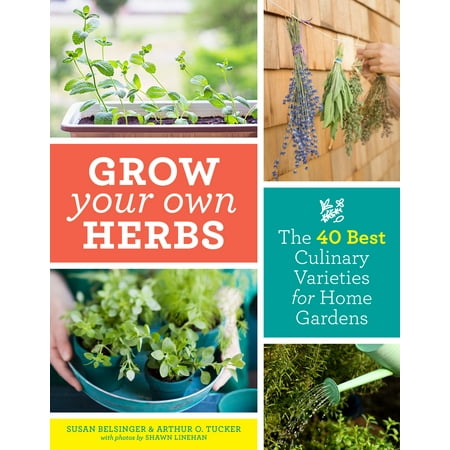 Grow Your Own Herbs - Paperback