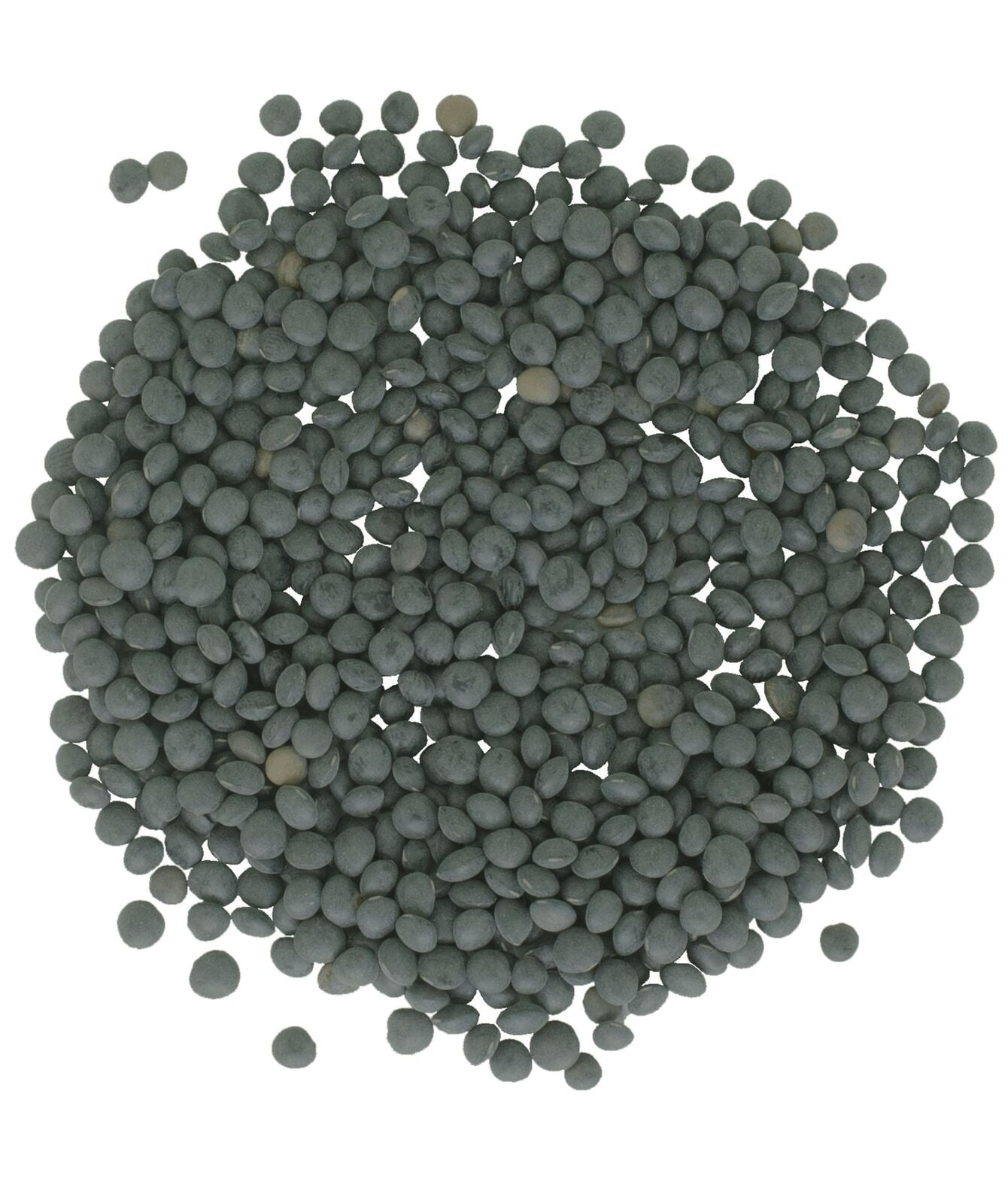 Black Lentils | 25 LBS | Emergency Food Storage Bucket | Non-GMO | Vegan | Bulk